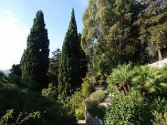 183 HYERES ET SES PALMIERS D01_000050